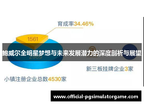 鲍威尔全明星梦想与未来发展潜力的深度剖析与展望