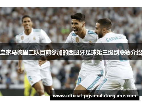 皇家马德里二队目前参加的西班牙足球第三级别联赛介绍 皇家马德里二队目前参加的西班牙足球第三级别联赛介绍