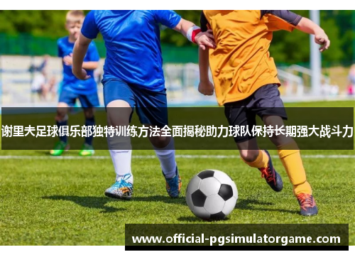 谢里夫足球俱乐部独特训练方法全面揭秘助力球队保持长期强大战斗力 谢里夫足球俱乐部独特训练方法全面揭秘助力球队保持长期强大战斗力