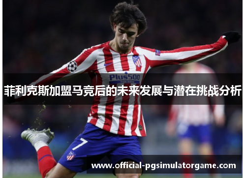 菲利克斯加盟马竞后的未来发展与潜在挑战分析