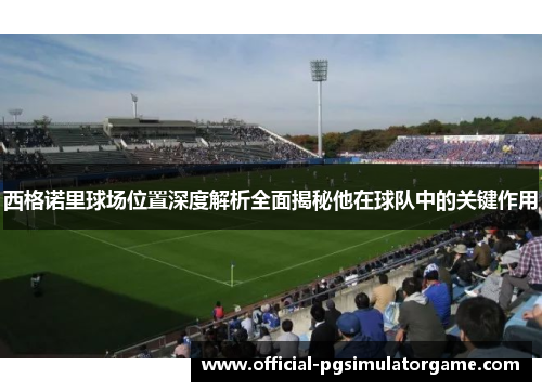西格诺里球场位置深度解析全面揭秘他在球队中的关键作用 西格诺里球场位置深度解析全面揭秘他在球队中的关键作用