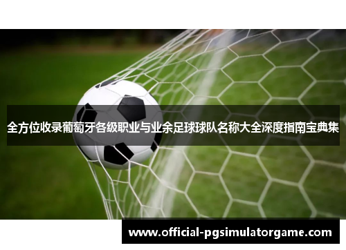 全方位收录葡萄牙各级职业与业余足球球队名称大全深度指南宝典集 全方位收录葡萄牙各级职业与业余足球球队名称大全深度指南宝典集