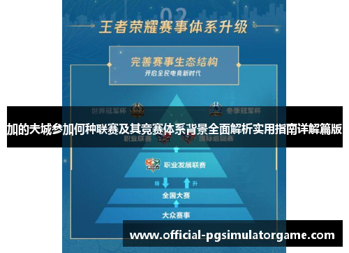 加的夫城参加何种联赛及其竞赛体系背景全面解析实用指南详解篇版