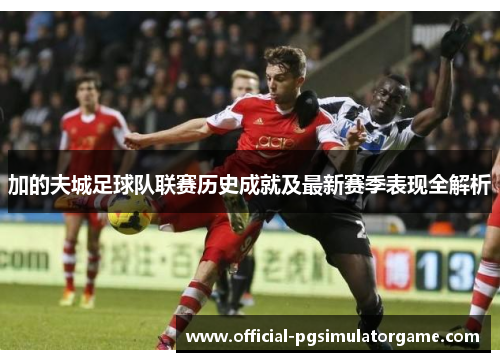 加的夫城足球队联赛历史成就及最新赛季表现全解析