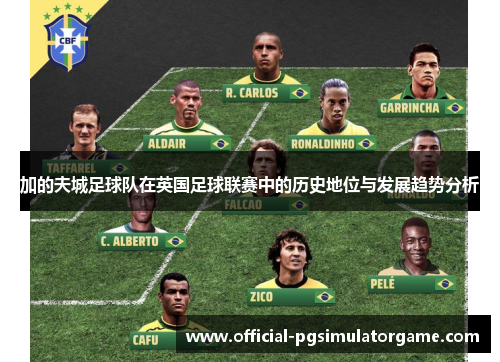 加的夫城足球队在英国足球联赛中的历史地位与发展趋势分析