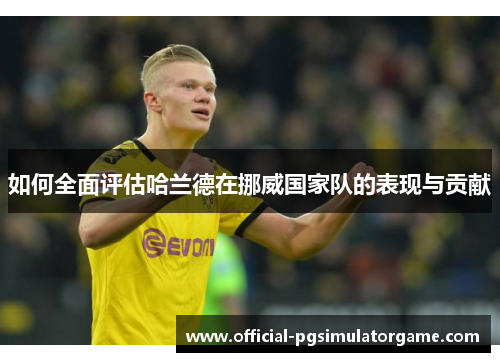 如何全面评估哈兰德在挪威国家队的表现与贡献