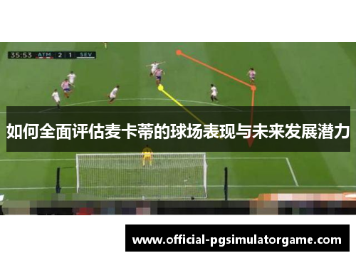 如何全面评估麦卡蒂的球场表现与未来发展潜力