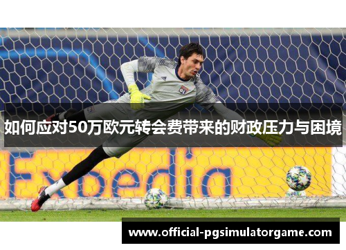 如何应对50万欧元转会费带来的财政压力与困境 如何应对50万欧元转会费带来的财政压力与困境