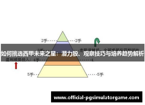 如何挑选西甲未来之星：潜力股、观察技巧与培养趋势解析