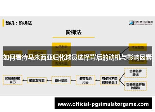 如何看待马来西亚归化球员选择背后的动机与影响因素