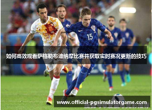 如何高效观看萨格勒布迪纳摩比赛并获取实时赛况更新的技巧