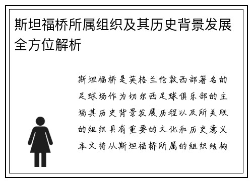 斯坦福桥所属组织及其历史背景发展全方位解析